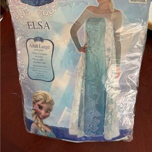 Disney Elsa Adult Large Costume